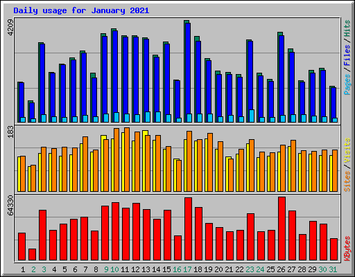 Daily usage for January 2021