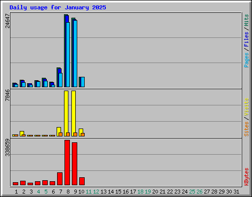 Daily usage for January 2025