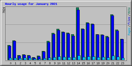 Hourly usage for January 2021