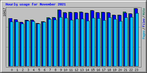 Hourly usage for November 2021