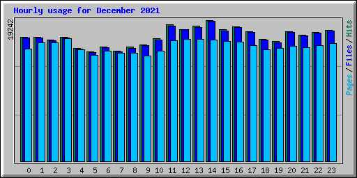 Hourly usage for December 2021