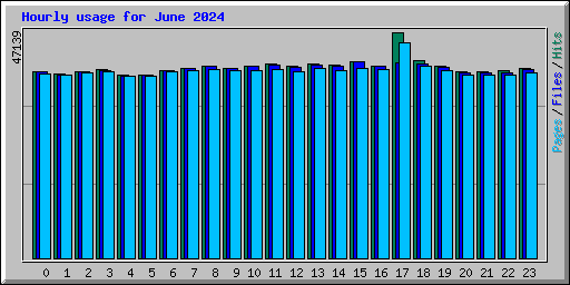 Hourly usage for June 2024