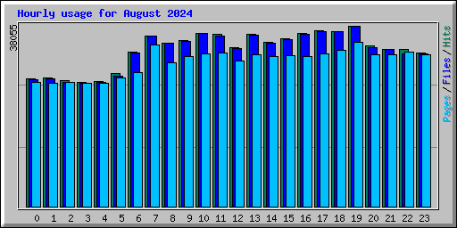 Hourly usage for August 2024