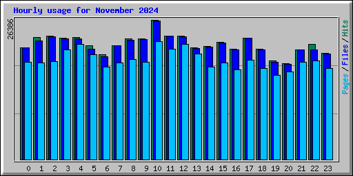 Hourly usage for November 2024