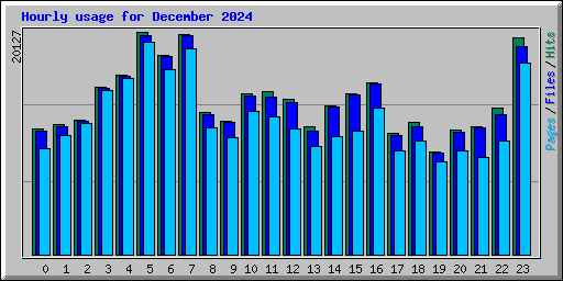 Hourly usage for December 2024