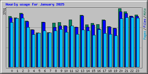 Hourly usage for January 2025