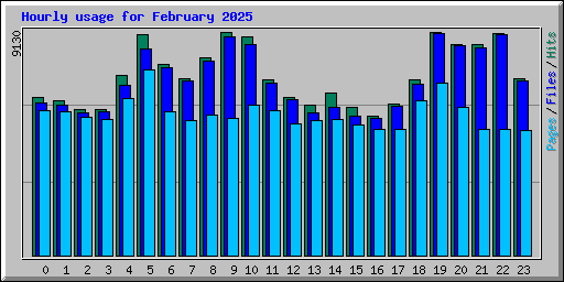 Hourly usage for February 2025
