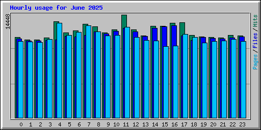Hourly usage for June 2025
