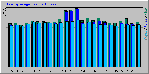Hourly usage for July 2025