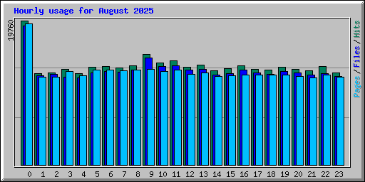 Hourly usage for August 2025